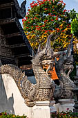 Chiang Mai - The Wat Chedi Luang, naga-makara guardians at the entrance of a secondary vihan. 